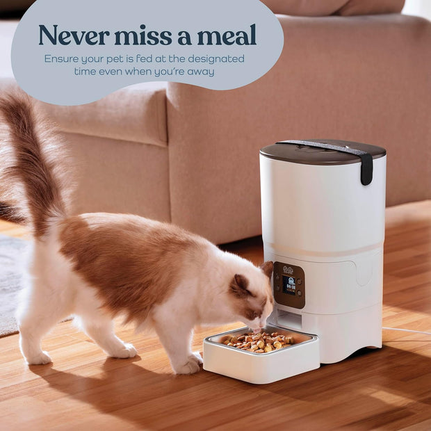 Two cats eating from an automatic pet feeder with portion control