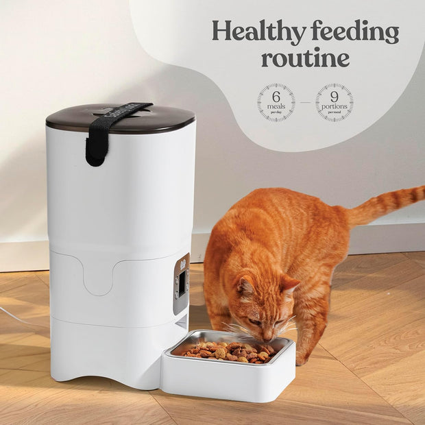 Smart pet feeder promoting portion-controlled, healthy feeding routine