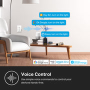 Smart Plug HS103P2 connected to a wall outlet, showing Wi-Fi compatibility with Alexa and Google Home.