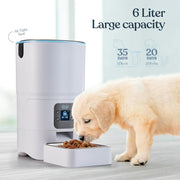 Automatic pet feeder with 6L food storage for cats and small dogs